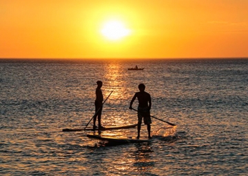 Stand up paddle