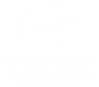 logo-bemnatural-escuro.png